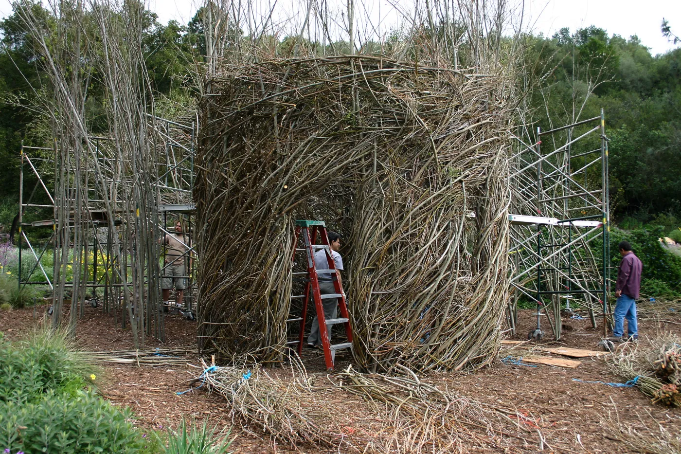 Toad Hall Construction