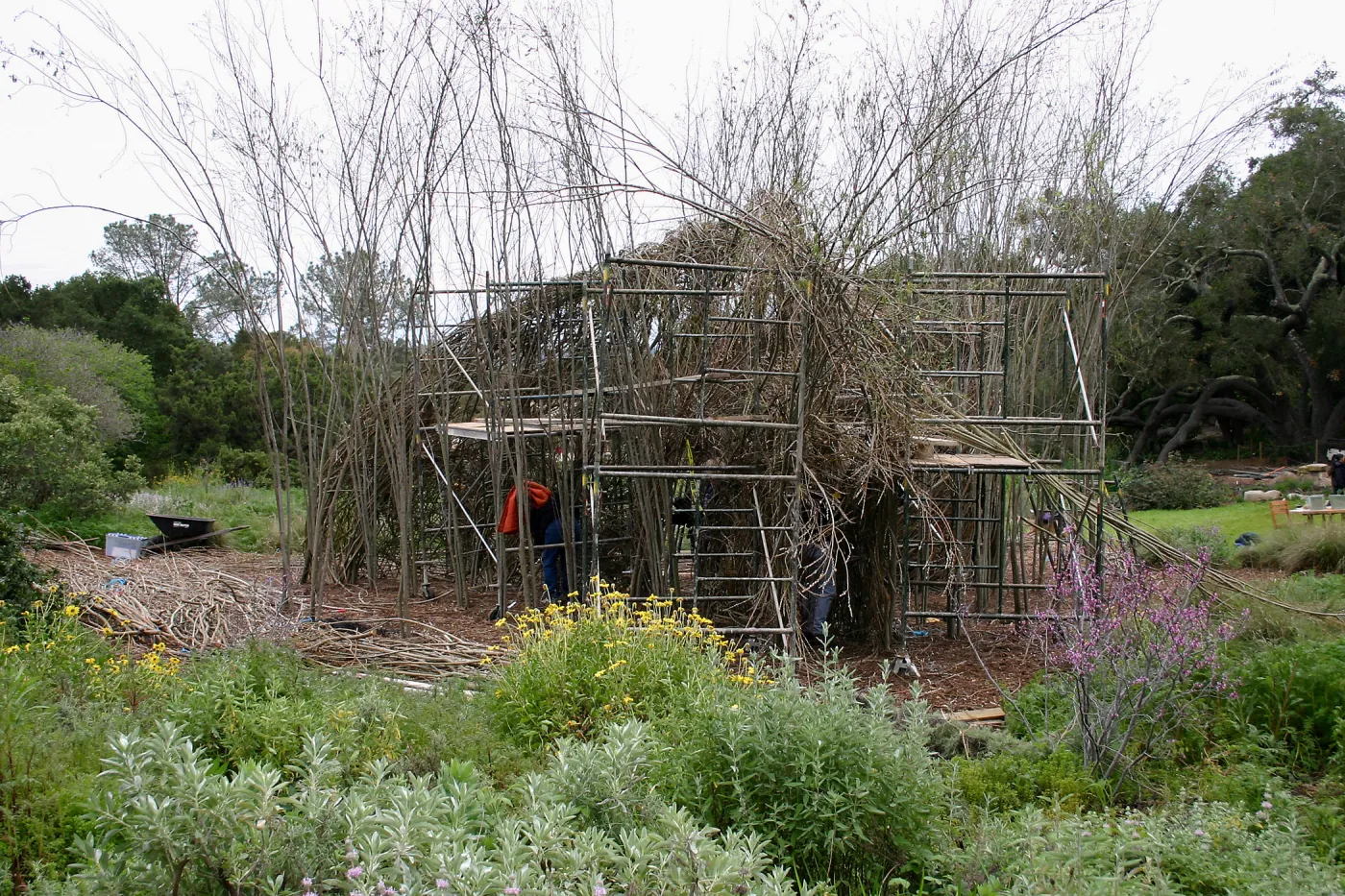 Toad Hall Construction