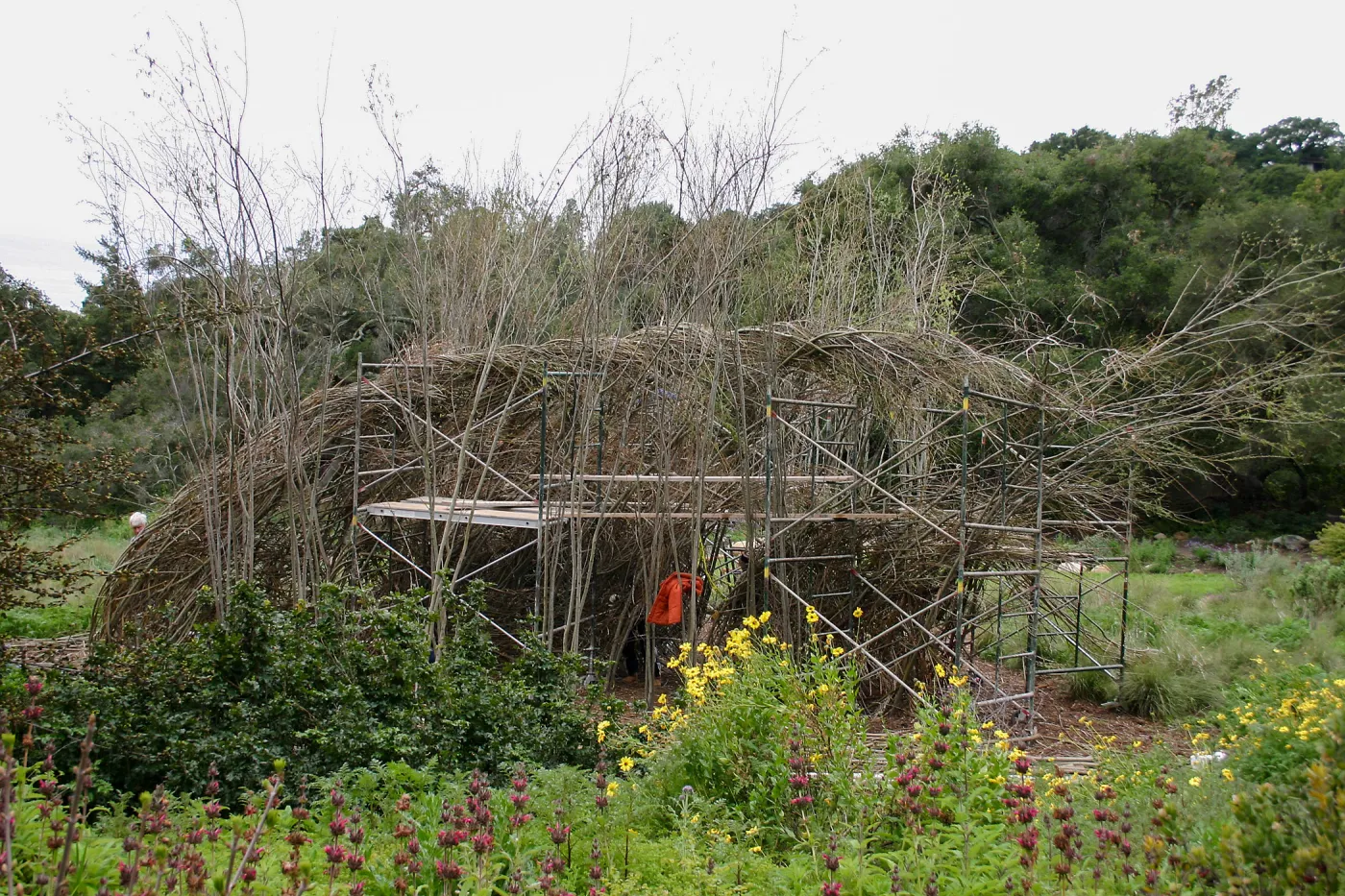 Toad Hall Construction