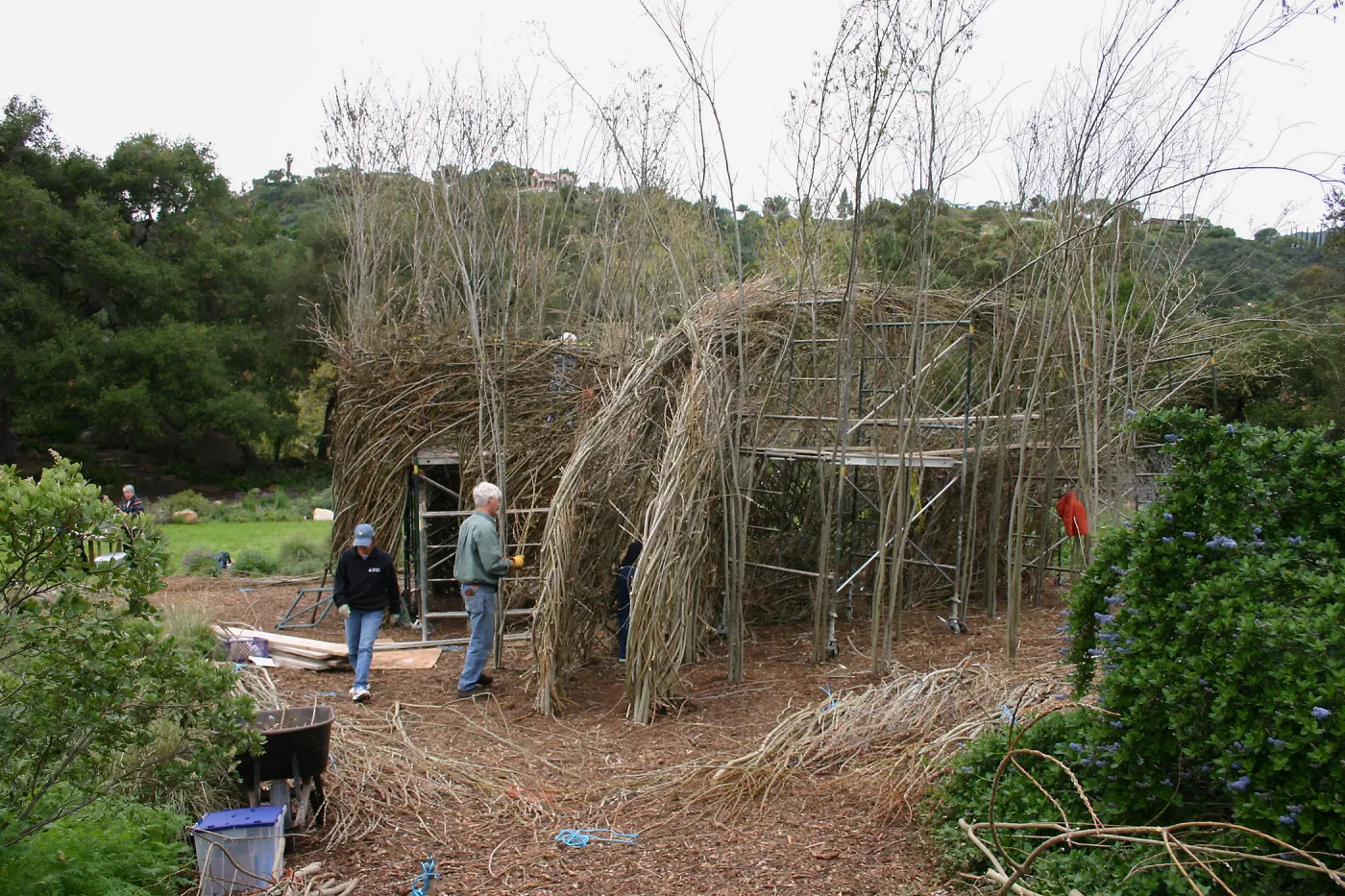 Toad Hall Construction