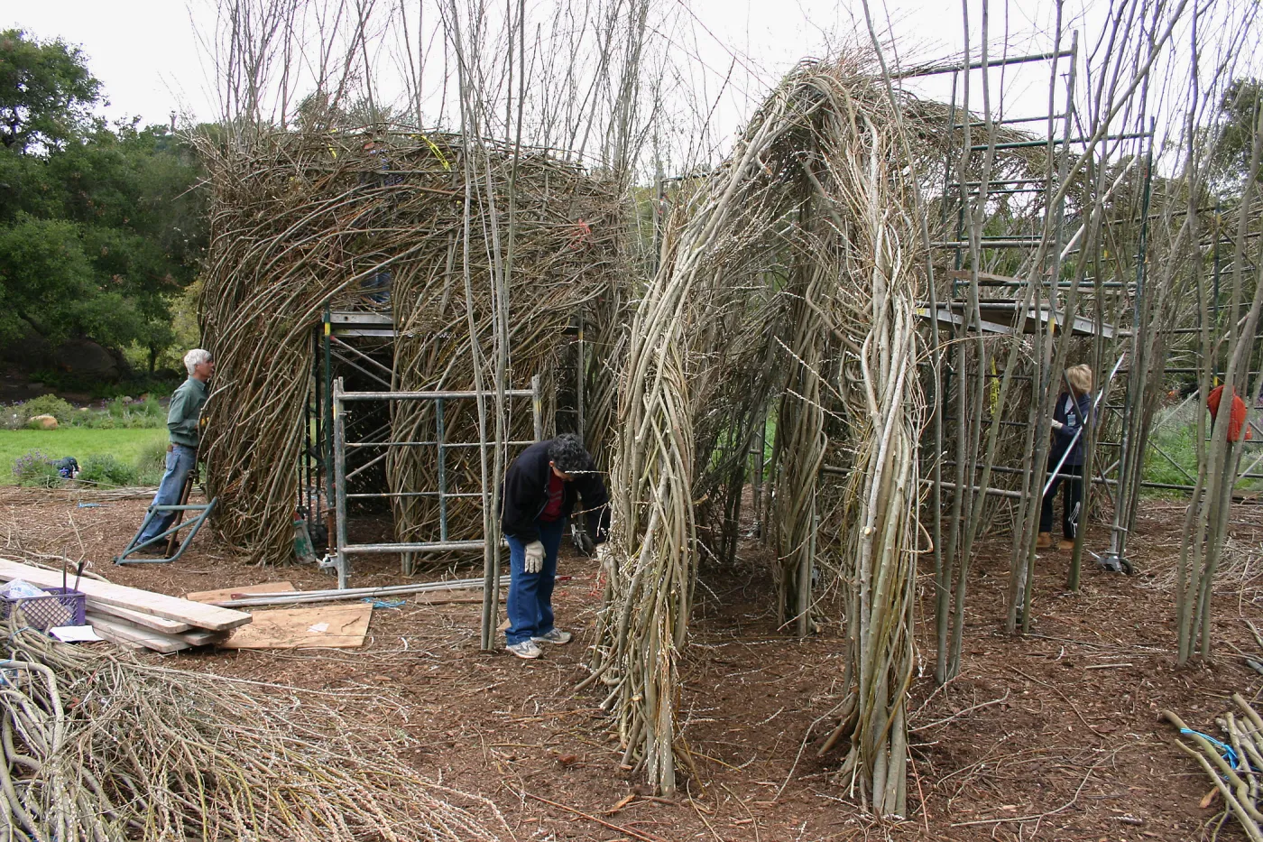 Toad Hall Construction