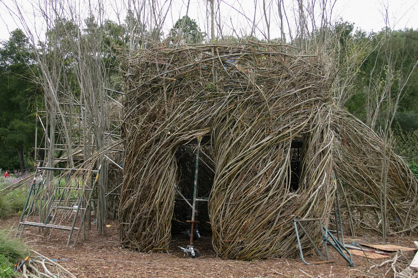 Toad Hall Construction