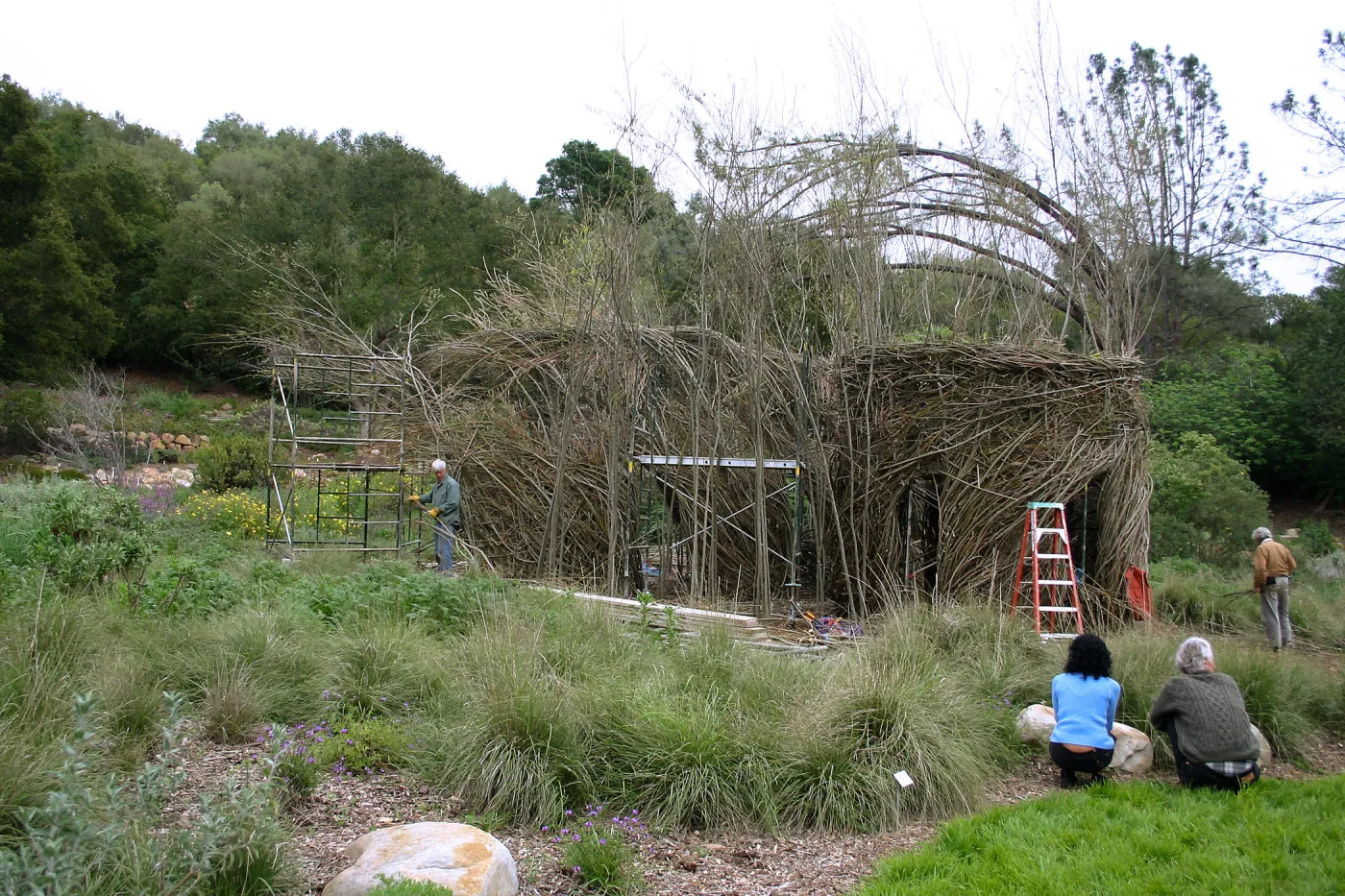 Toad Hall Construction