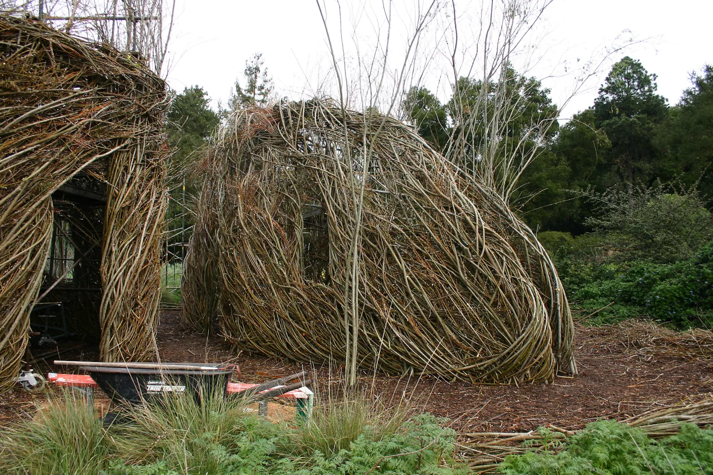 Toad Hall Construction