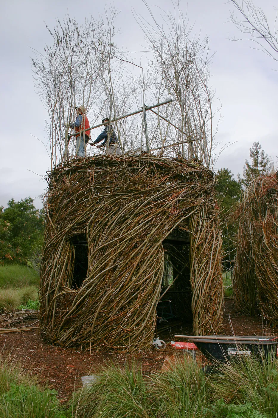 Toad Hall Construction