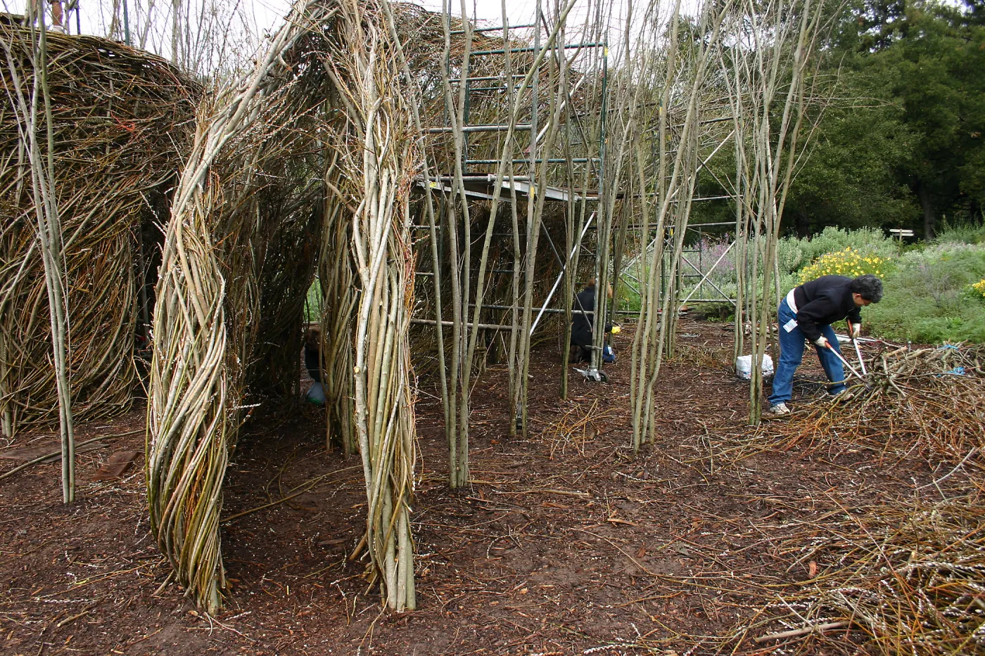 Toad Hall Construction