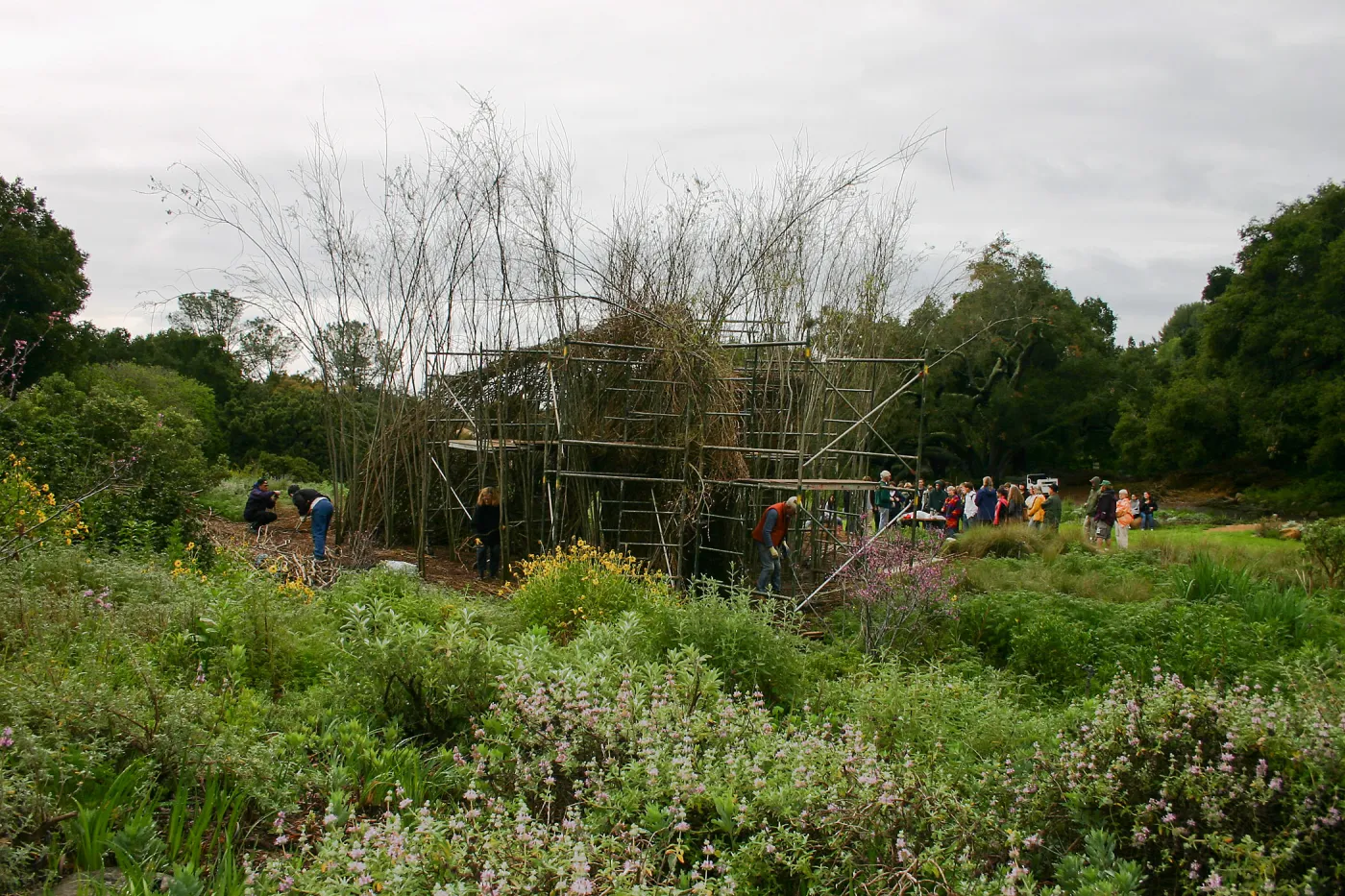 Toad Hall Construction, SBHS class visit