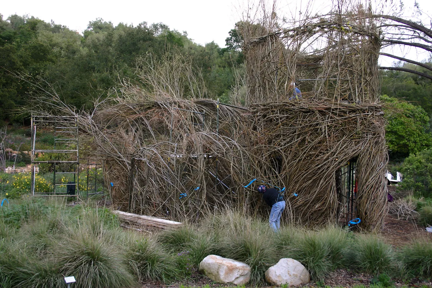 Toad Hall Construction