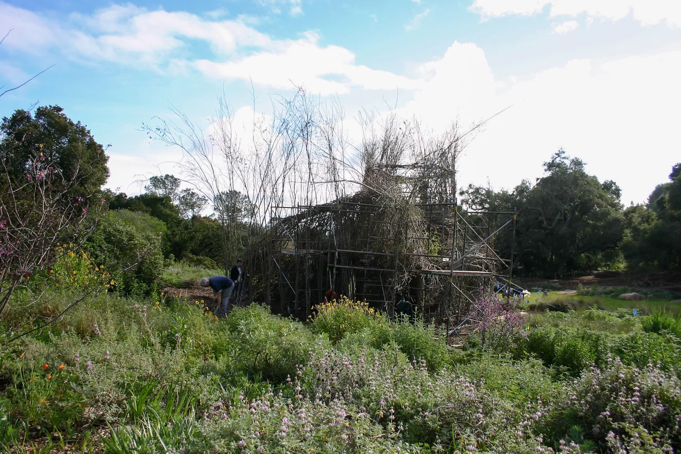 Toad Hall Construction