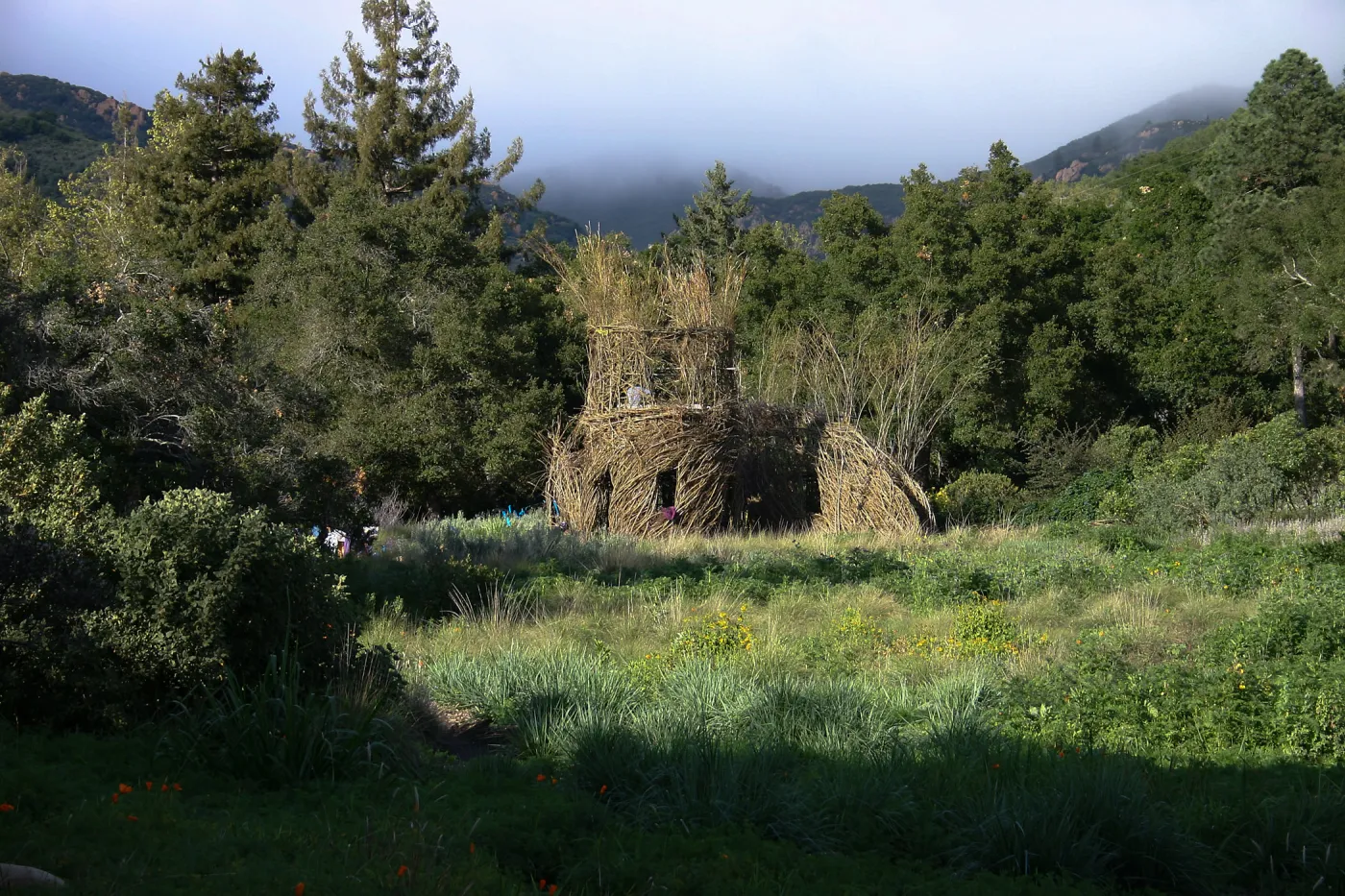 Toad Hall Construction