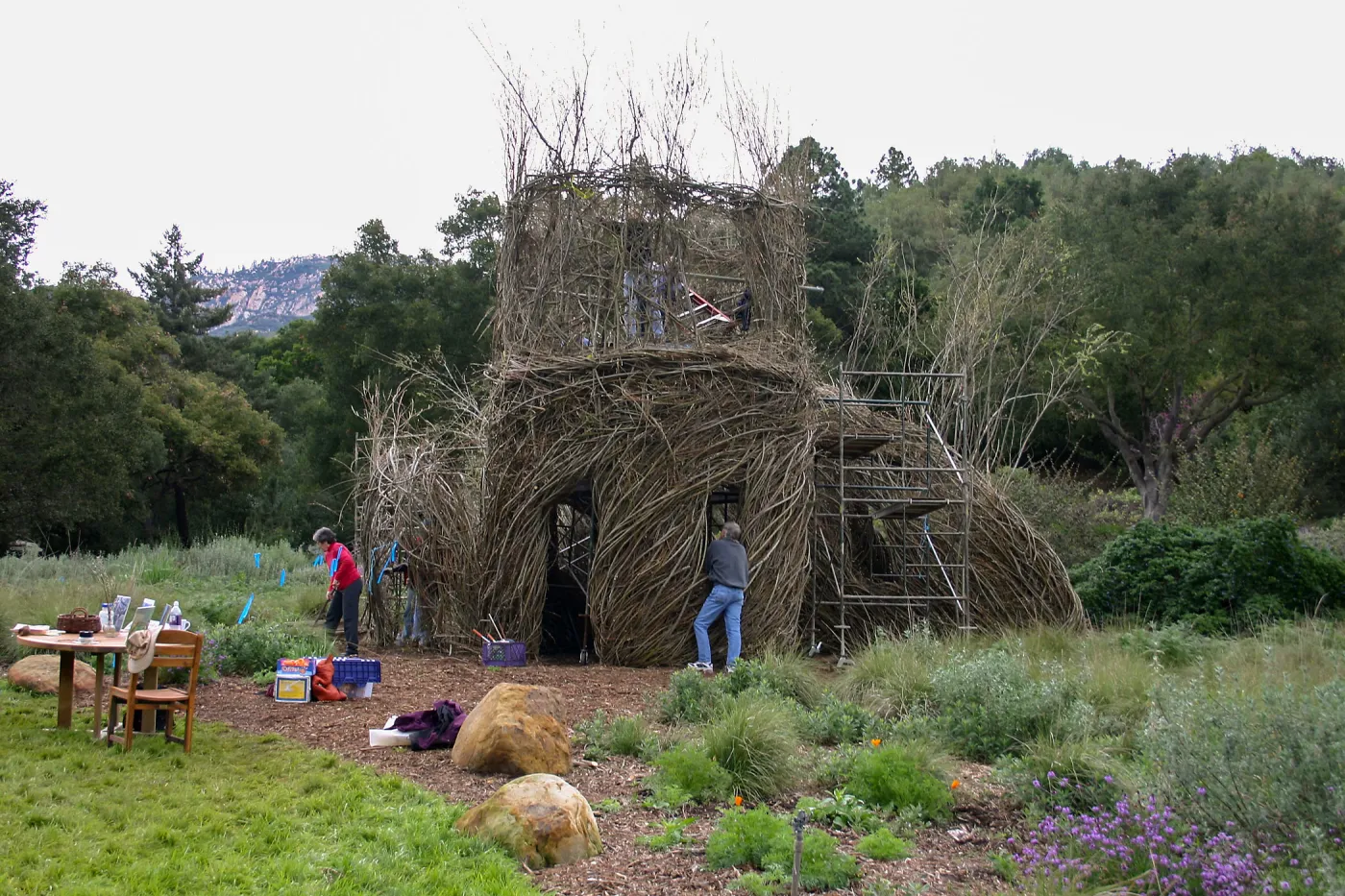 Toad Hall Construction