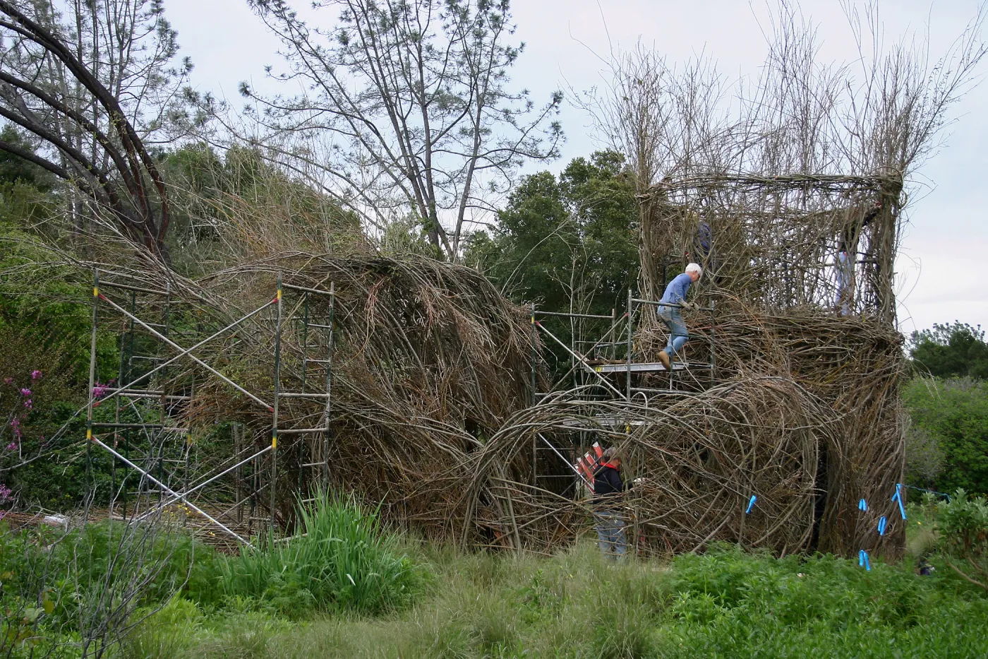 Toad Hall Construction