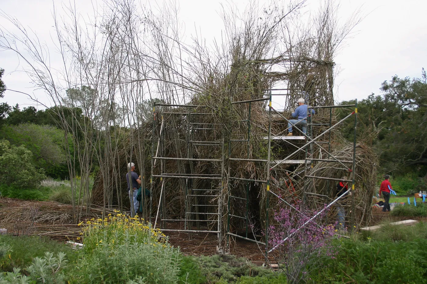 Toad Hall Construction