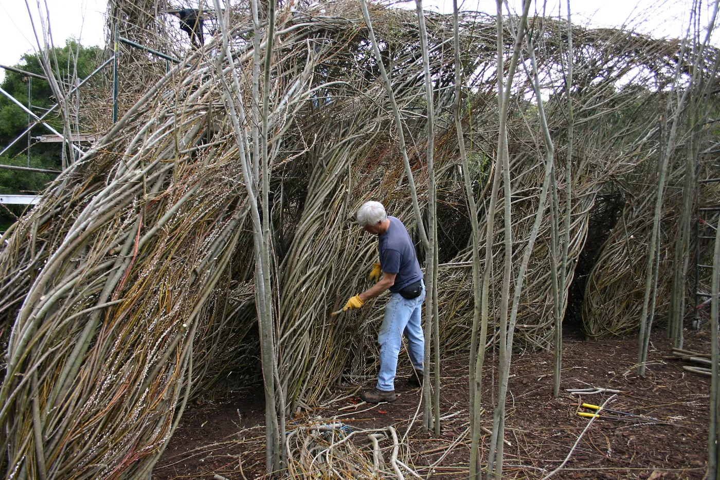 Toad Hall Construction