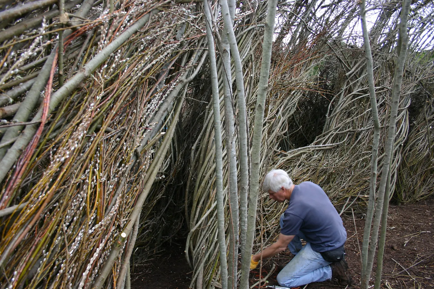 Toad Hall Construction