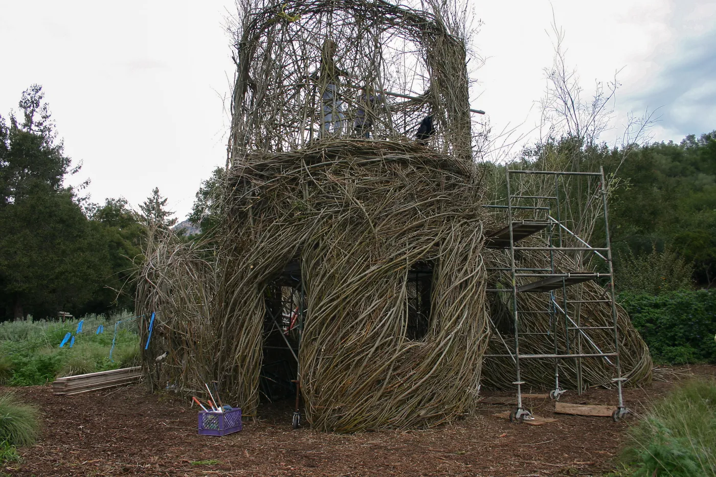 Toad Hall Construction
