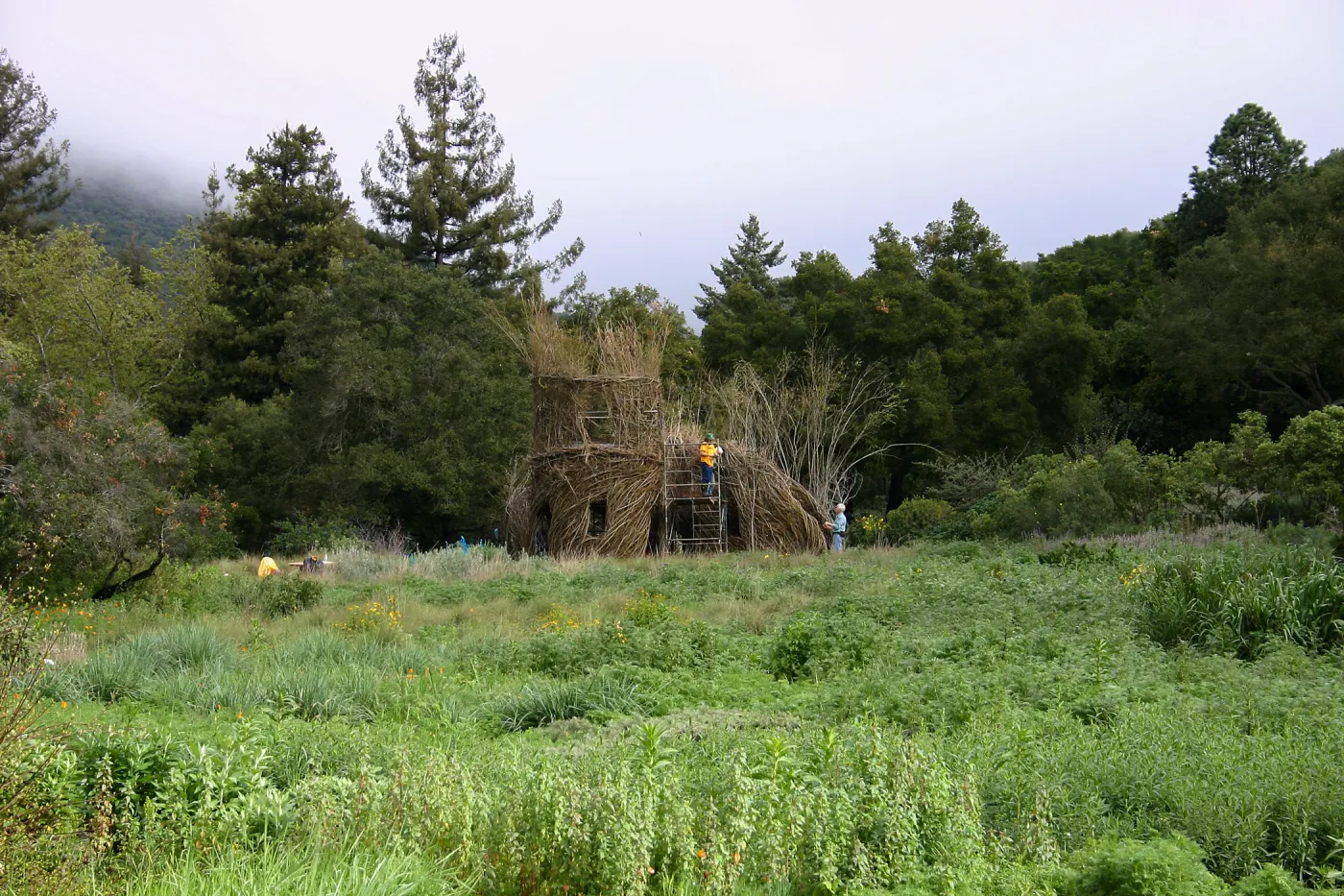 Toad Hall Construction