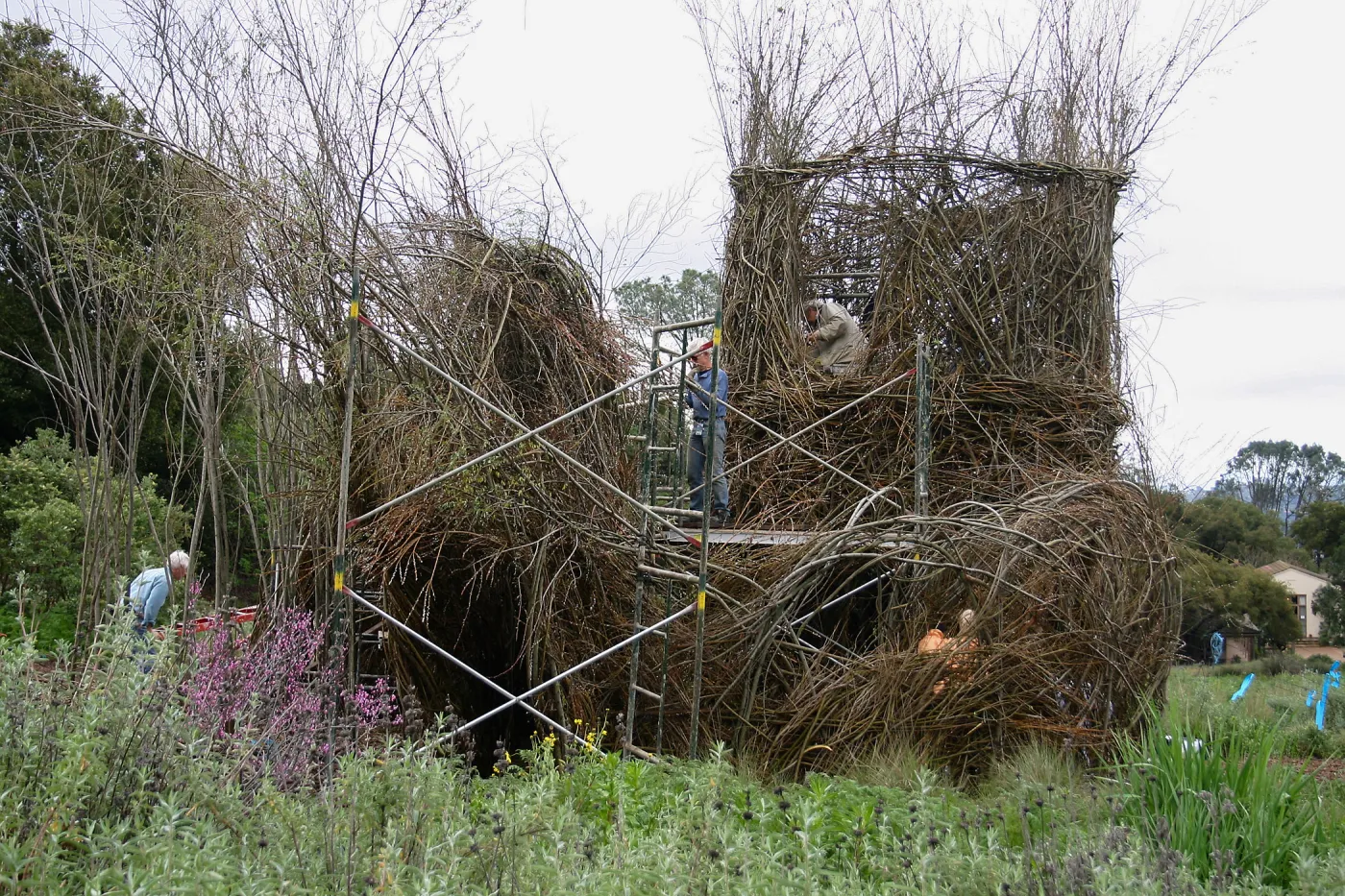 Toad Hall Construction