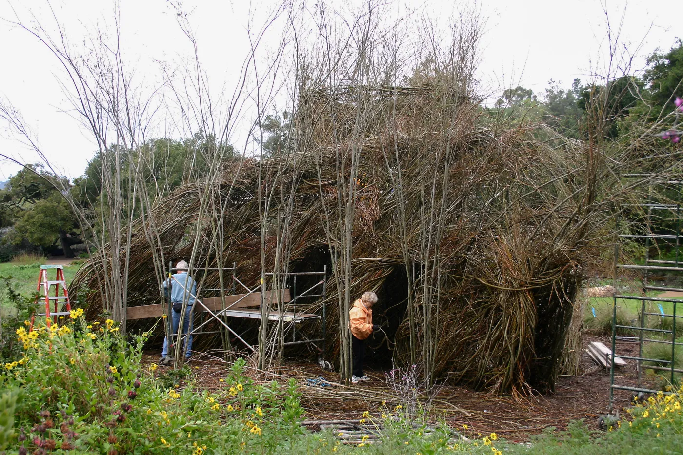 Toad Hall Construction