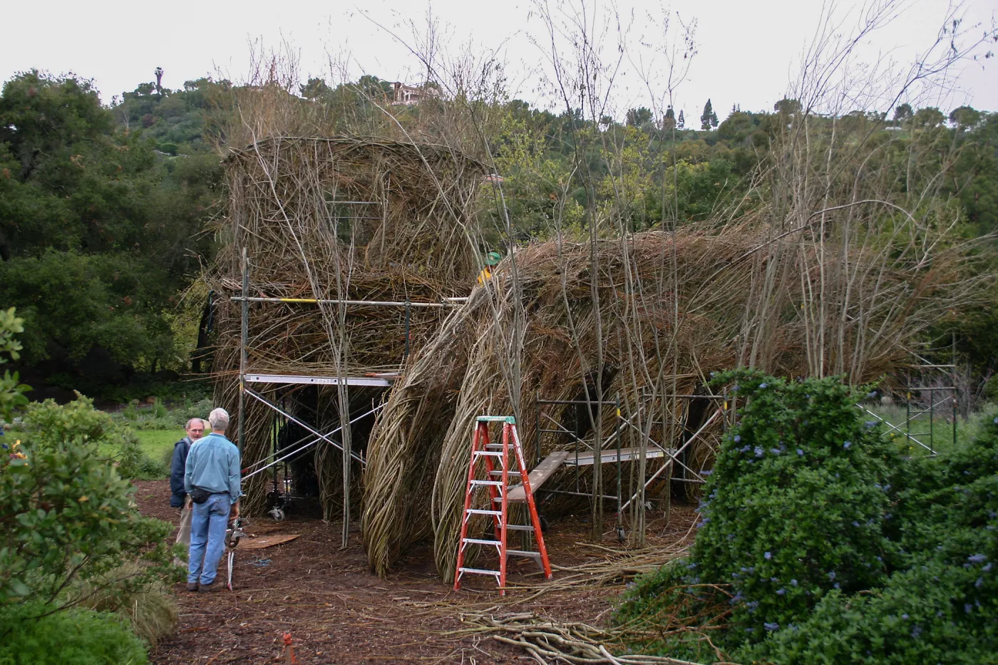 Toad Hall Construction