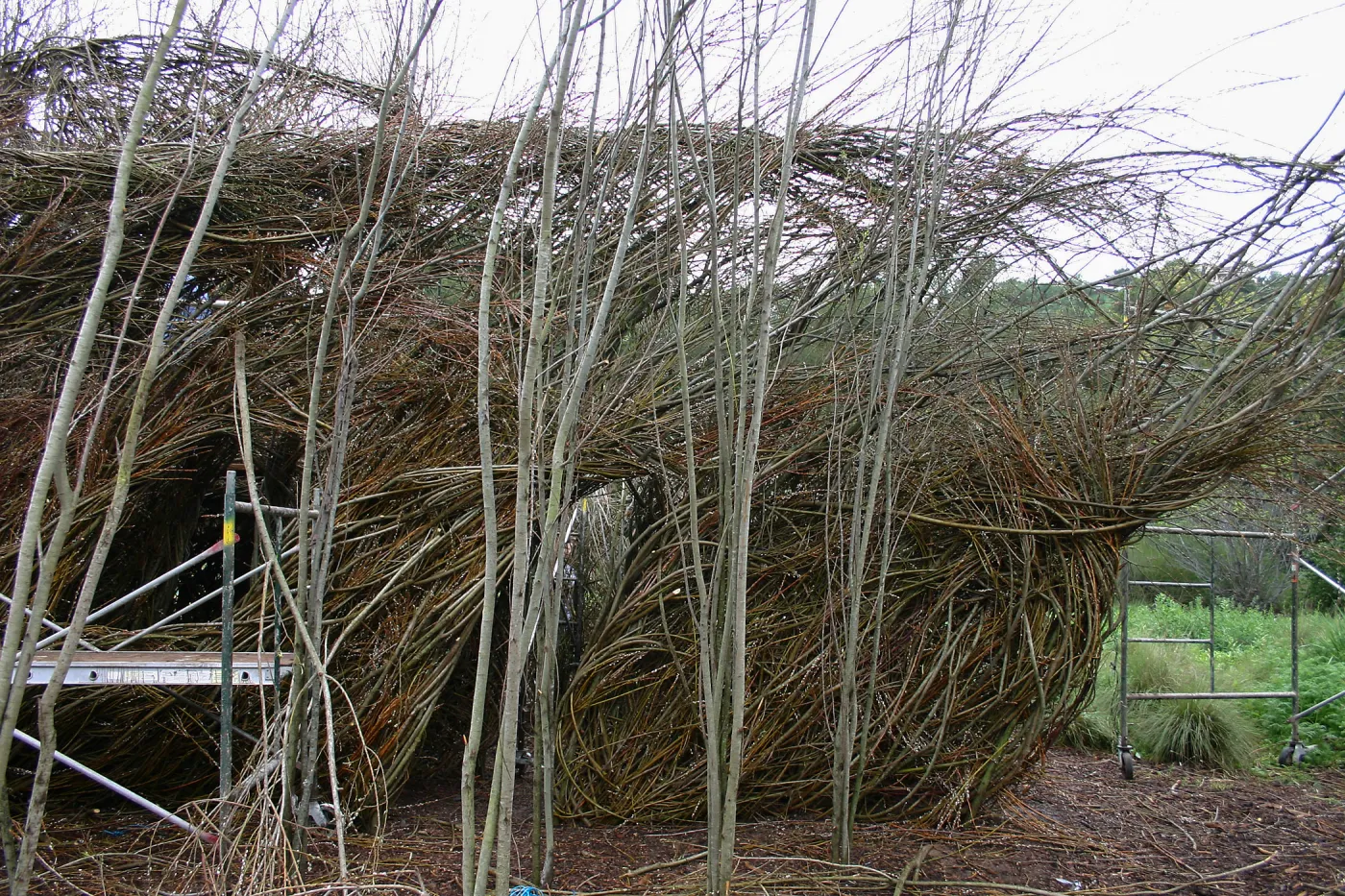 Toad Hall Construction