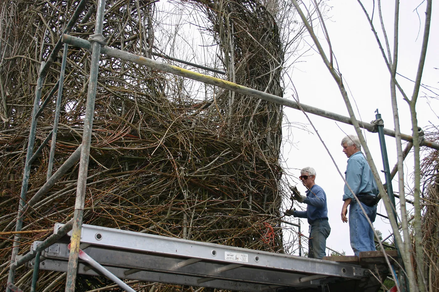 Toad Hall Construction