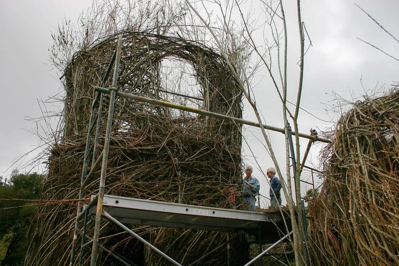 Toad Hall Construction