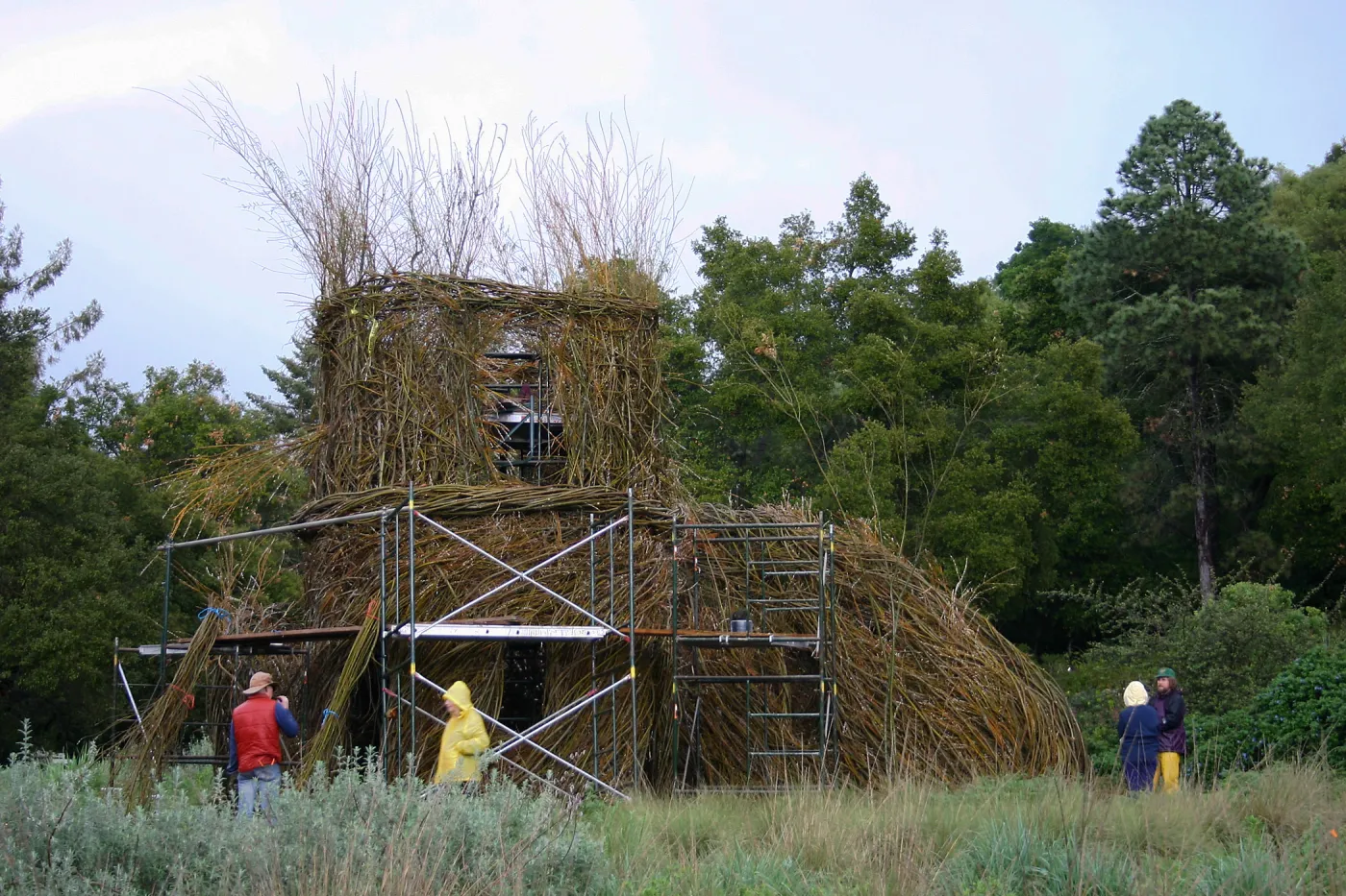 Toad Hall Construction