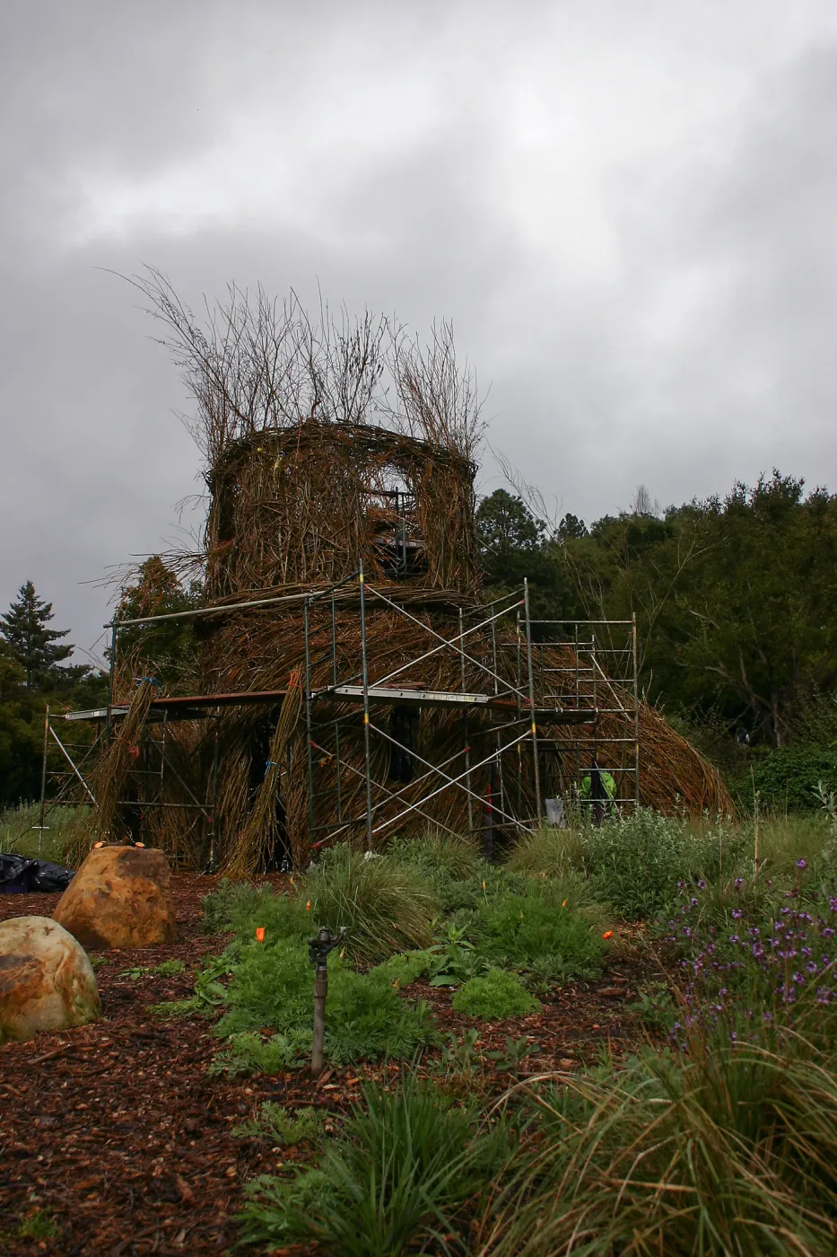 Toad Hall Construction
