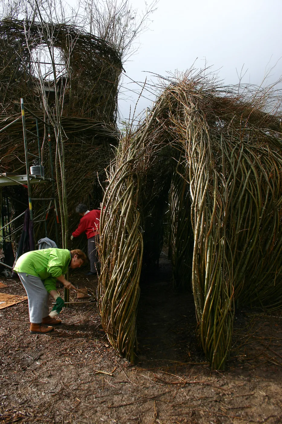 Toad Hall Construction