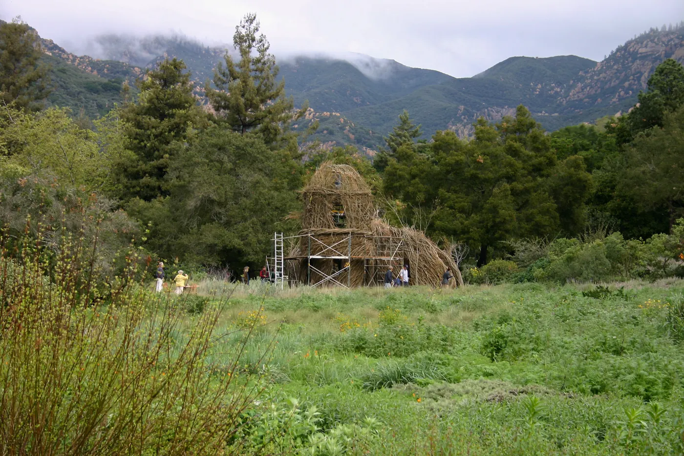 Toad Hall Construction