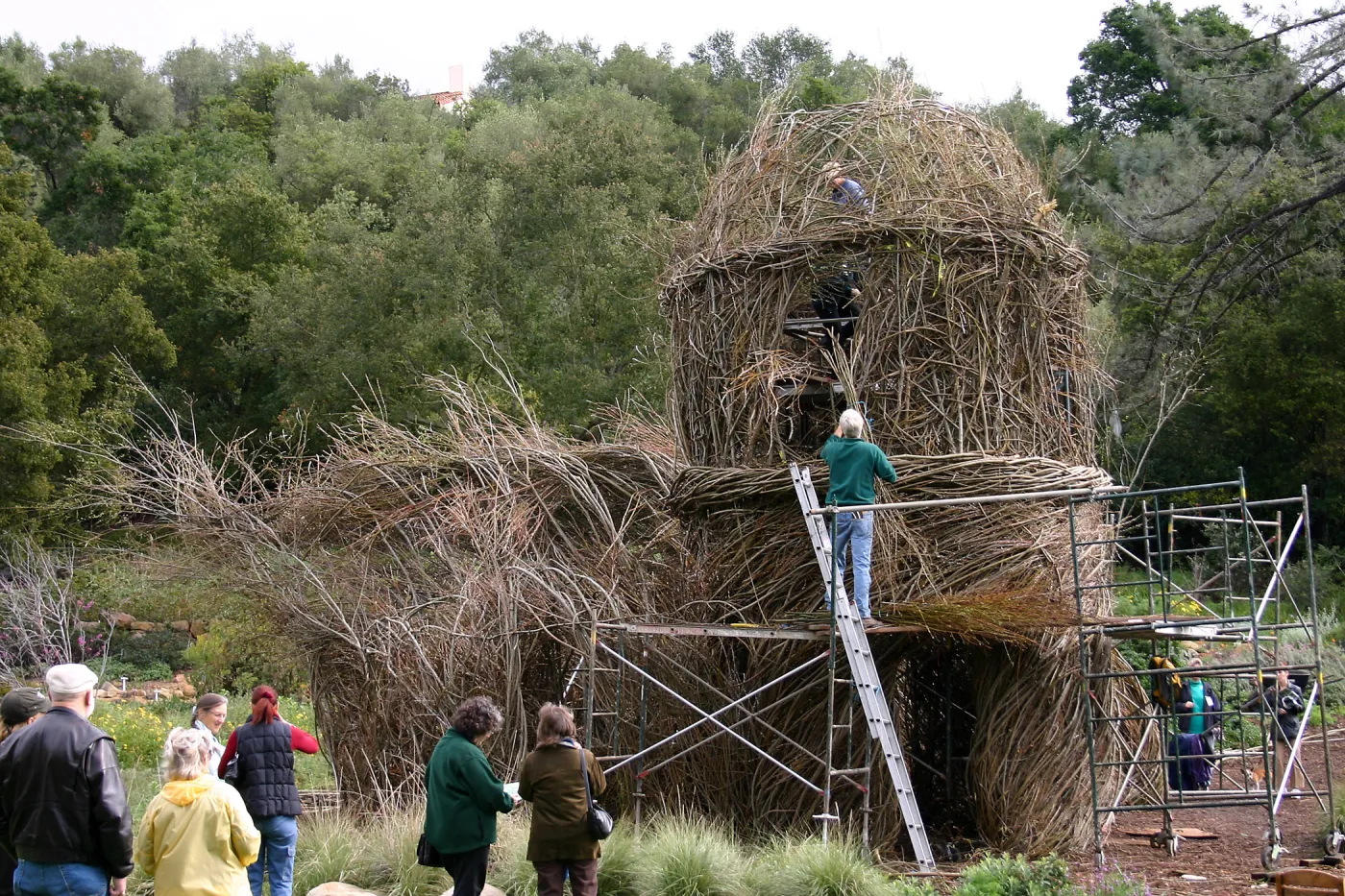 Toad Hall Construction
