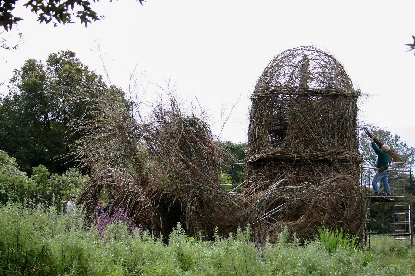 Toad Hall Construction