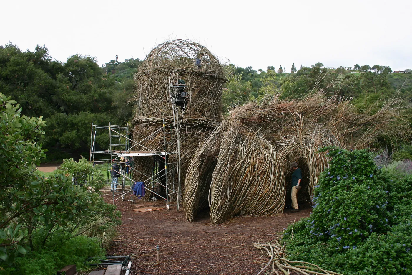 Toad Hall Construction