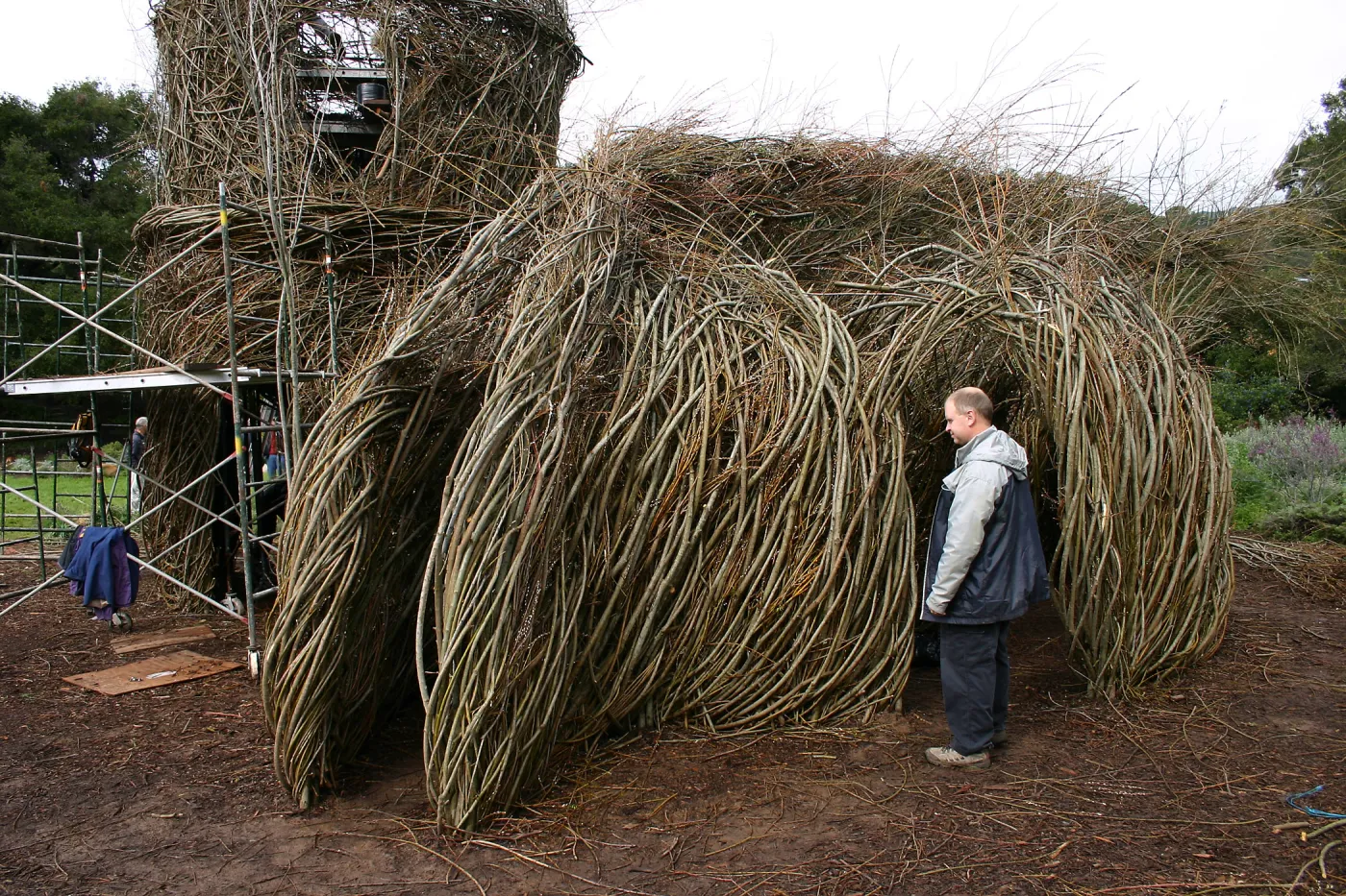 Toad Hall Construction
