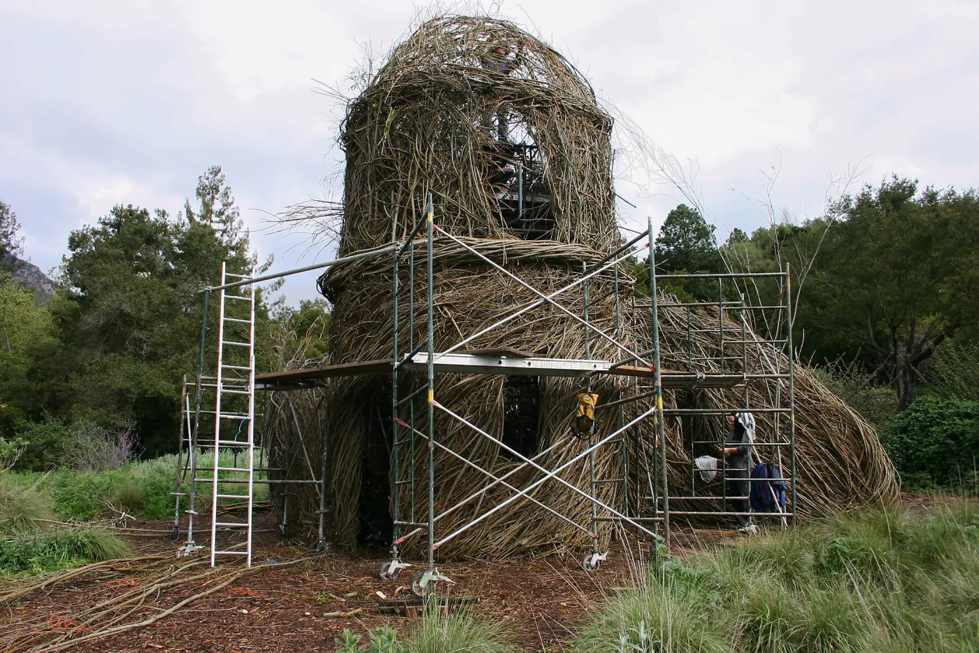Toad Hall Construction