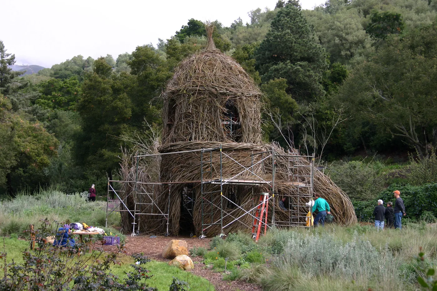Toad Hall Construction