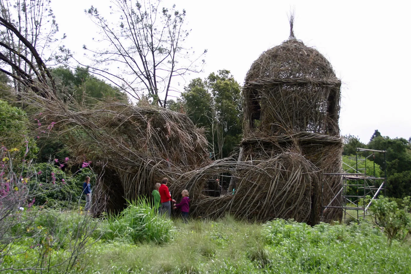 Toad Hall Construction