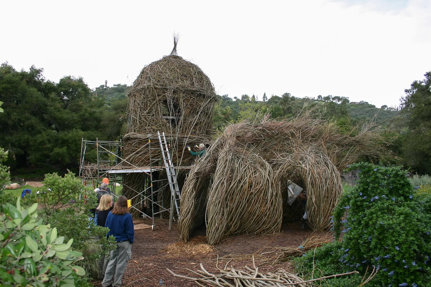 Toad Hall Construction