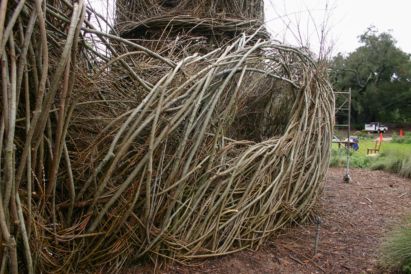 Toad Hall Construction