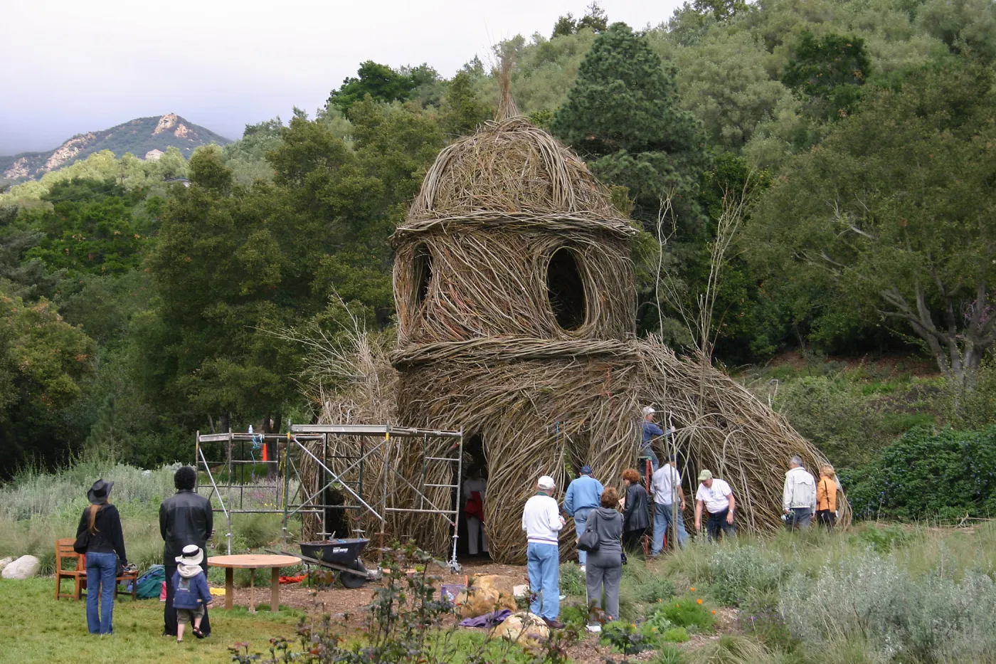 Toad Hall Construction