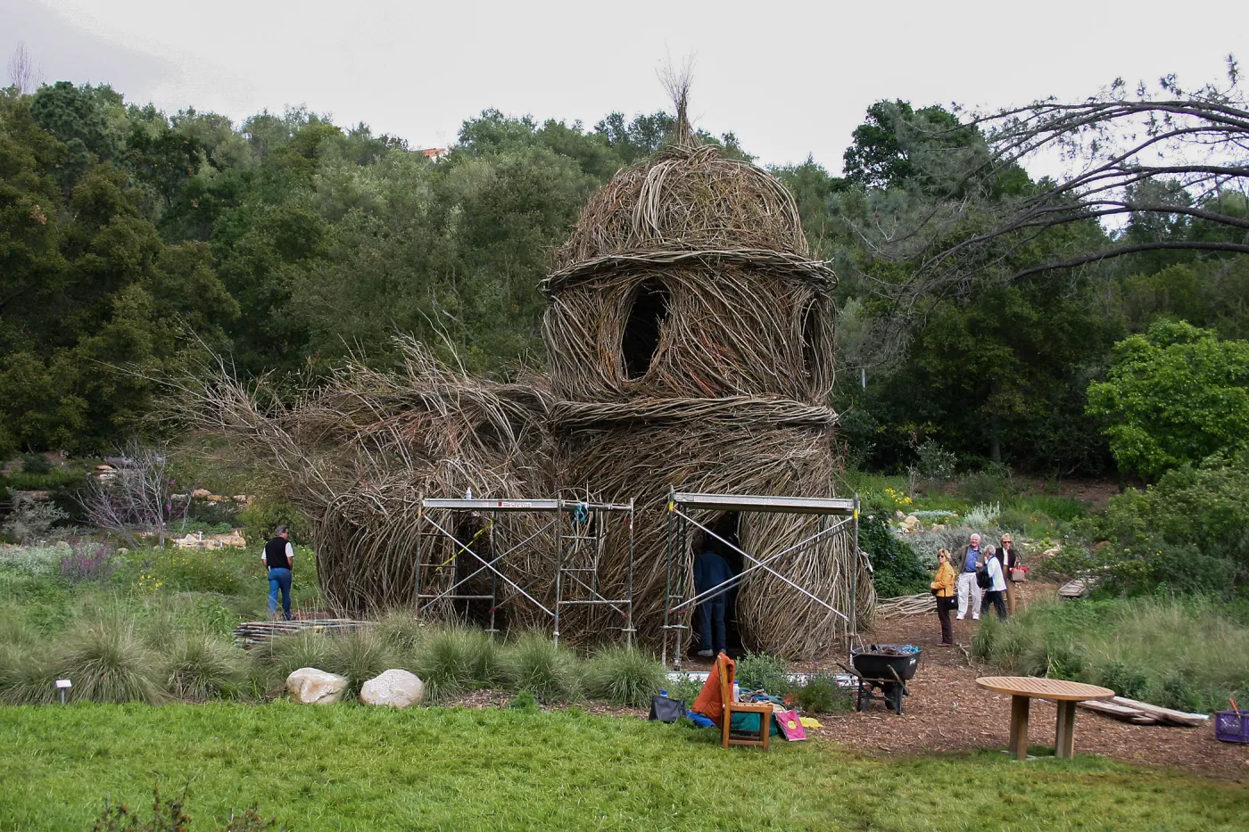 Toad Hall Construction