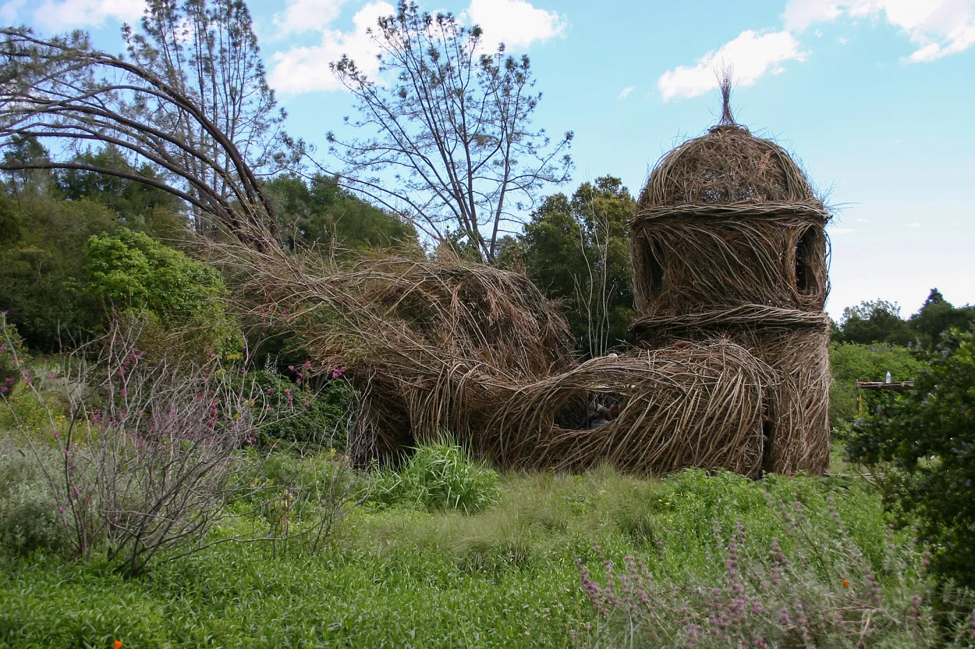 Toad Hall Construction
