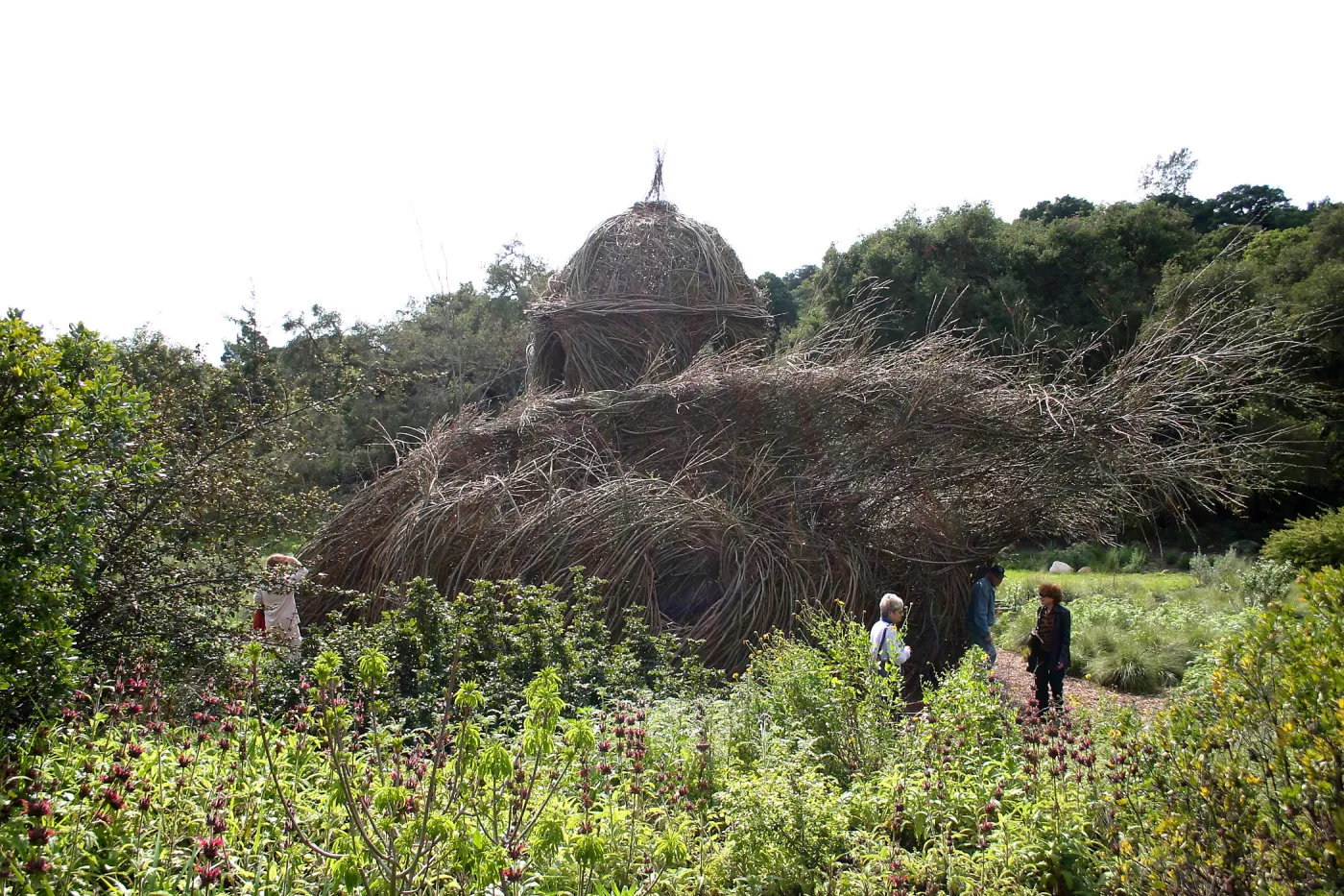 Toad Hall Construction