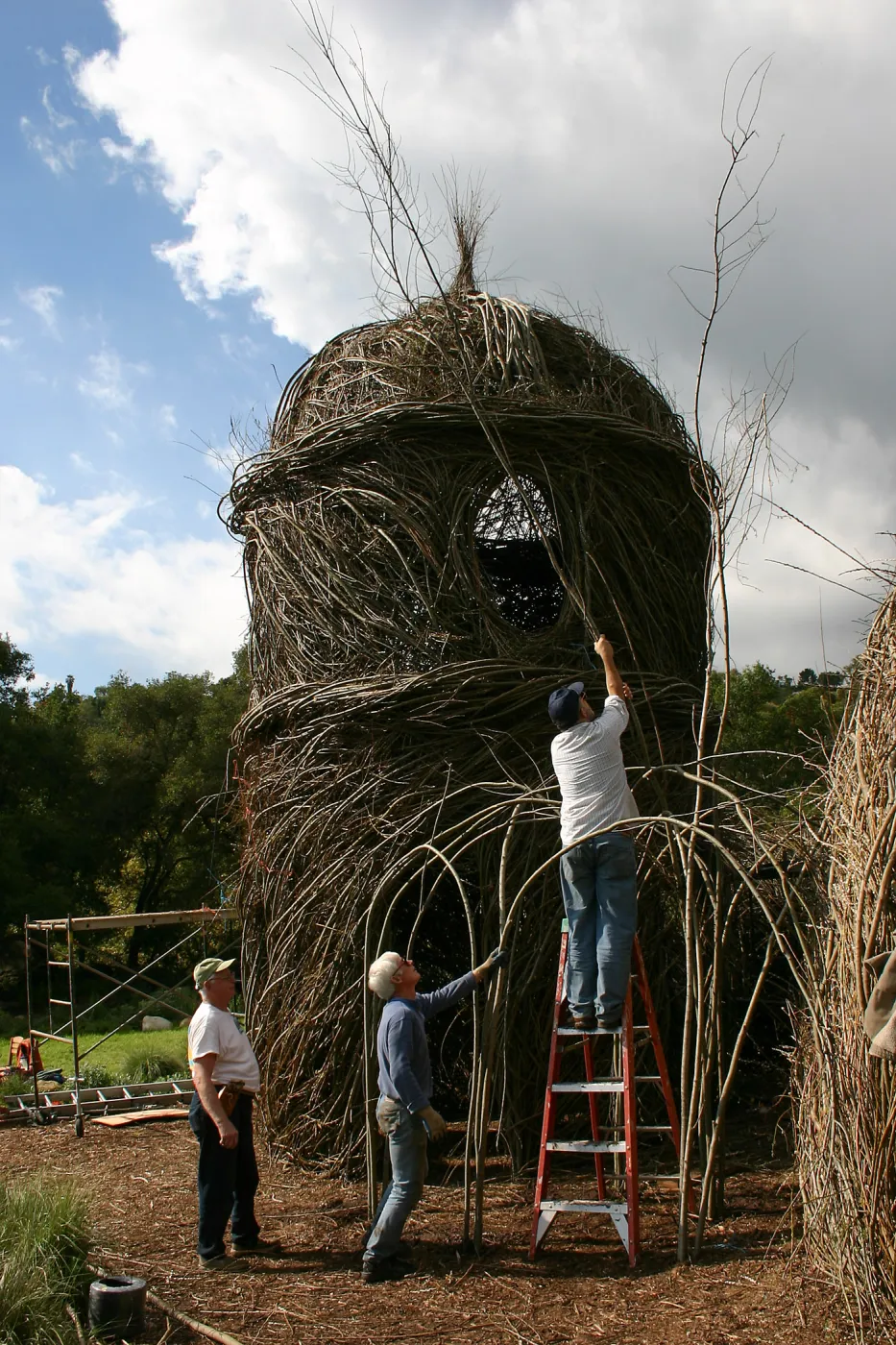 Toad Hall Construction