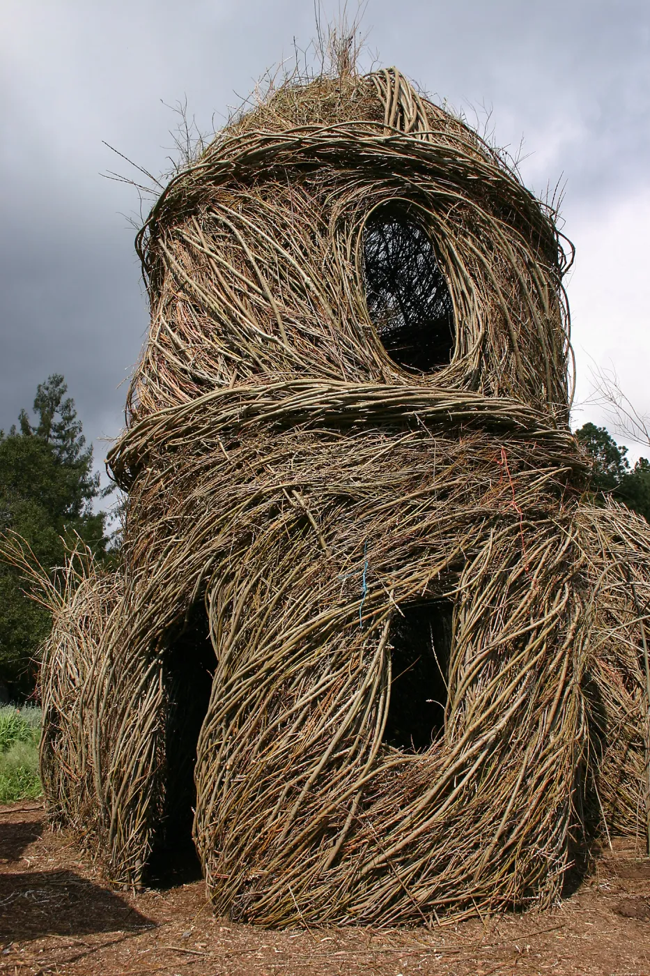 Toad Hall Construction