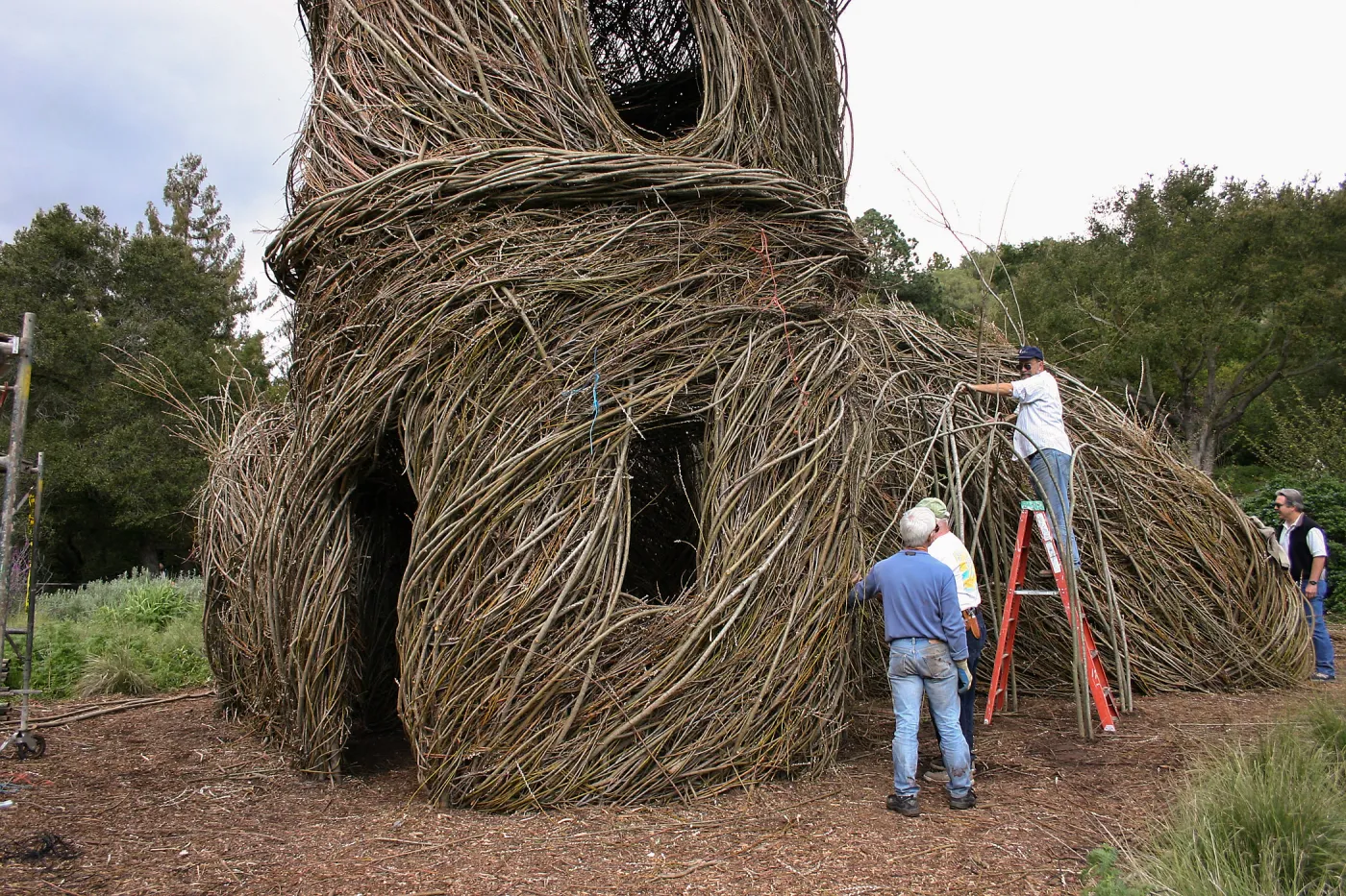 Toad Hall Construction