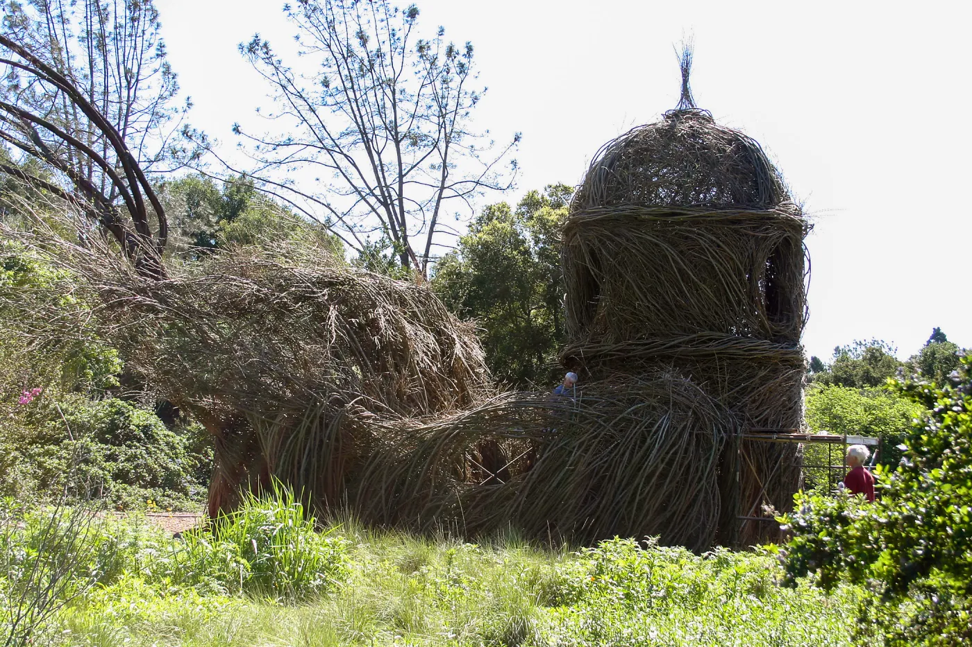 Toad Hall Construction