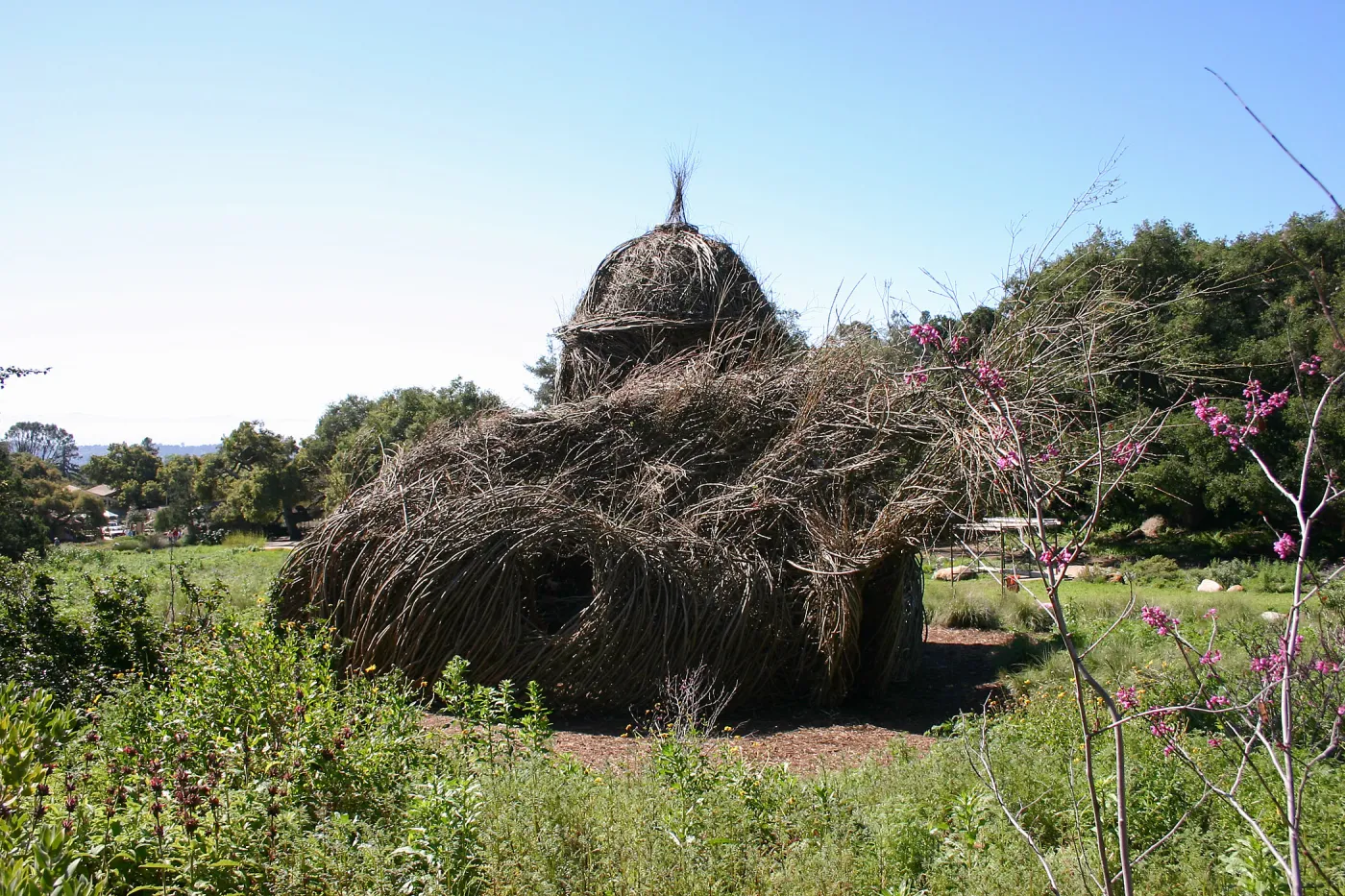 Toad Hall Construction