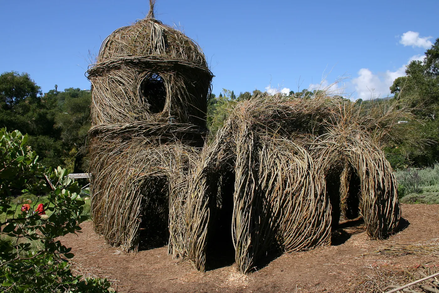 Toad Hall Construction